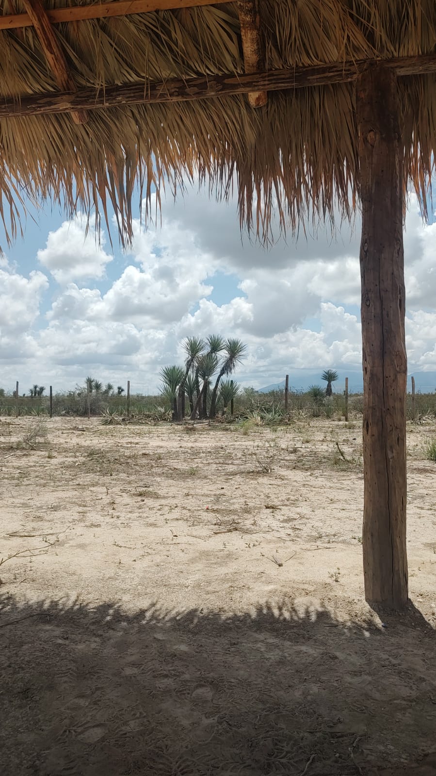 WhatsApp Image 2026-02-13 at 9.27.52 AM (1)