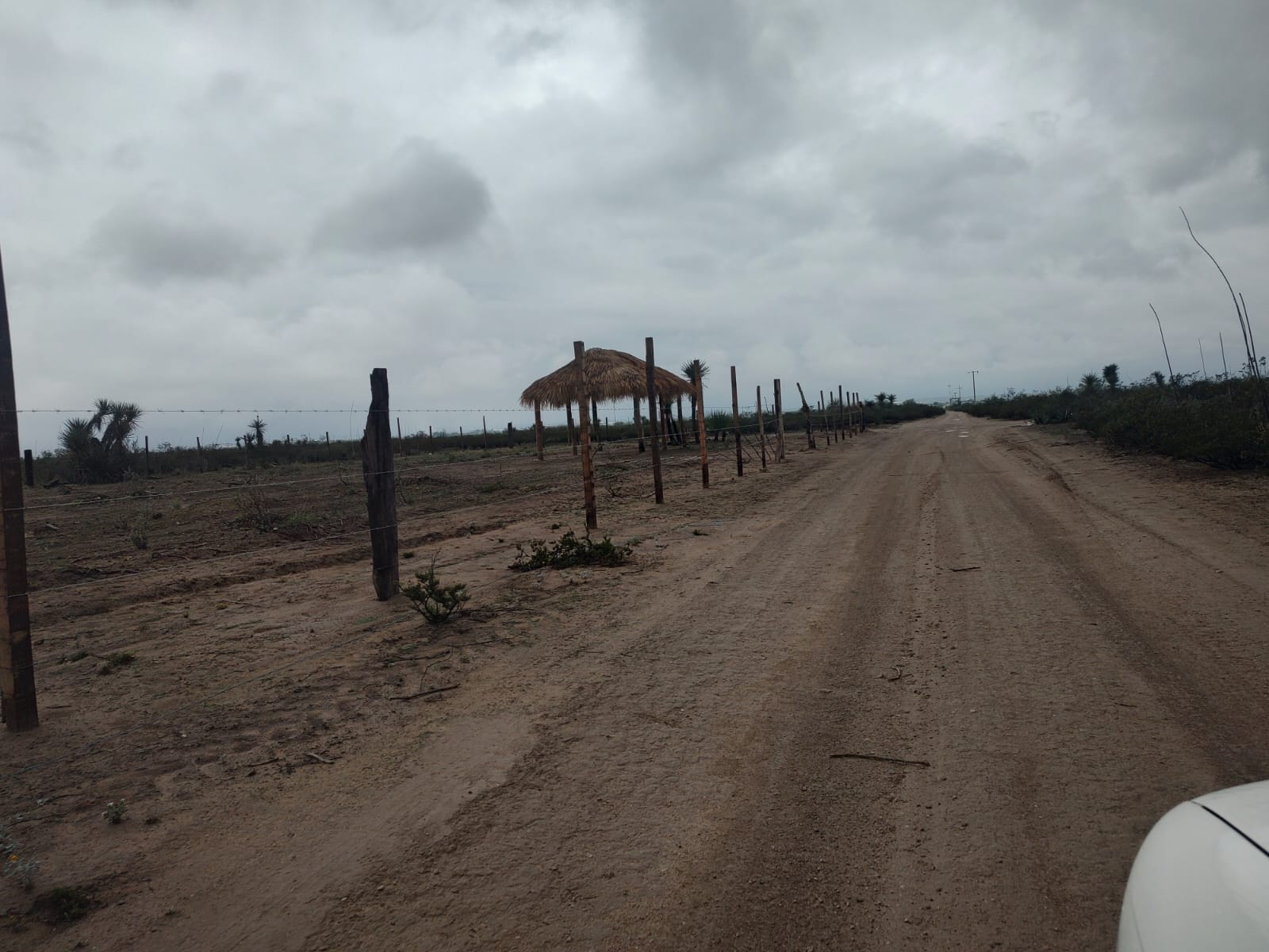 WhatsApp Image 2026-02-13 at 9.27.52 AM (4)