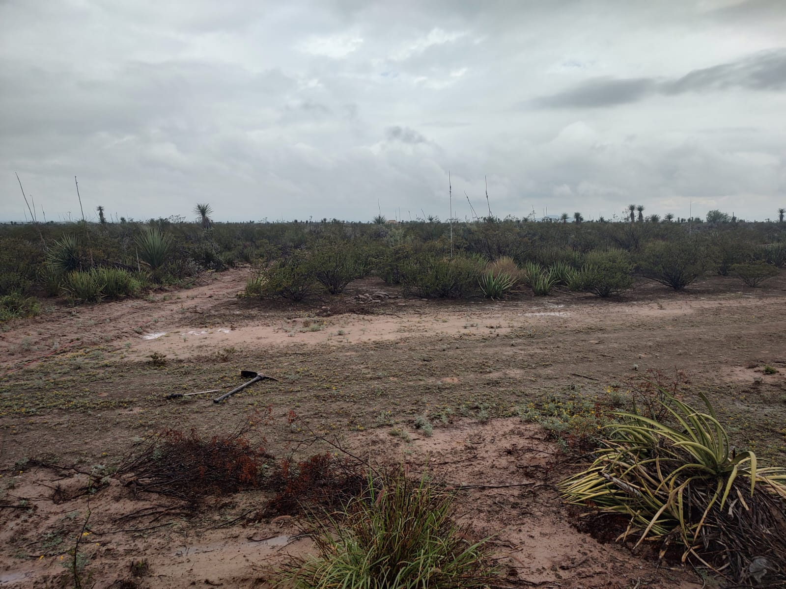 WhatsApp Image 2026-02-13 at 9.27.53 AM (1)