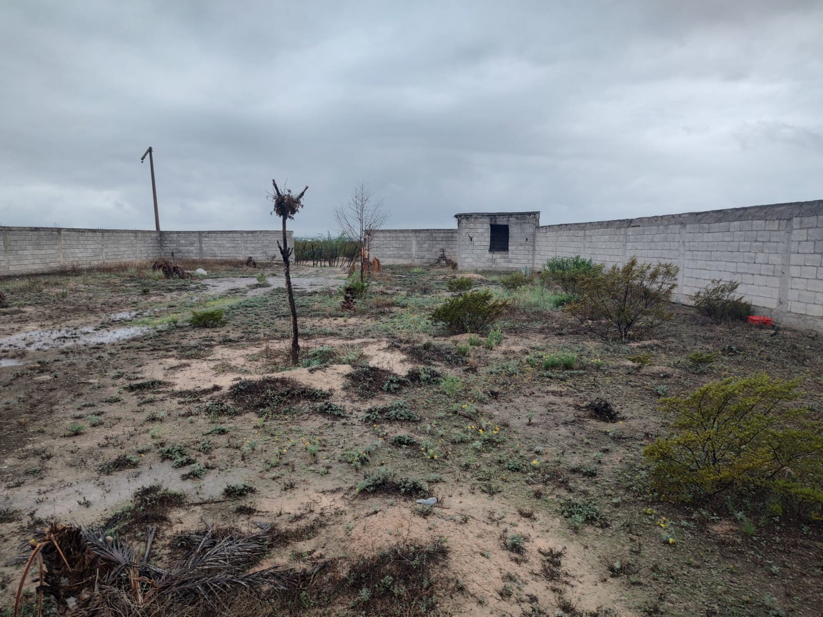 WhatsApp Image 2026-02-13 at 9.27.53 AM (4)