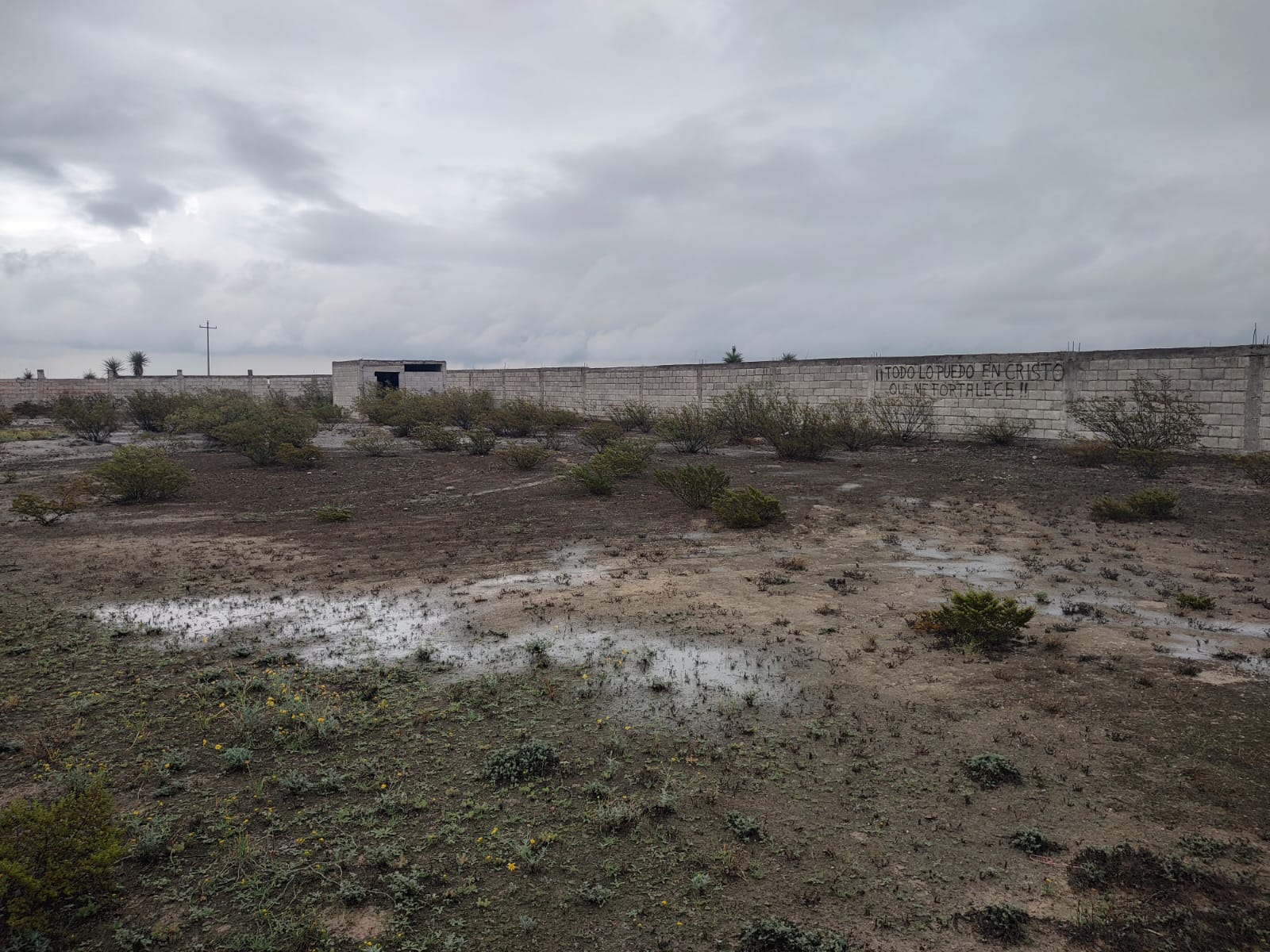 WhatsApp Image 2026-02-13 at 9.27.53 AM (5)