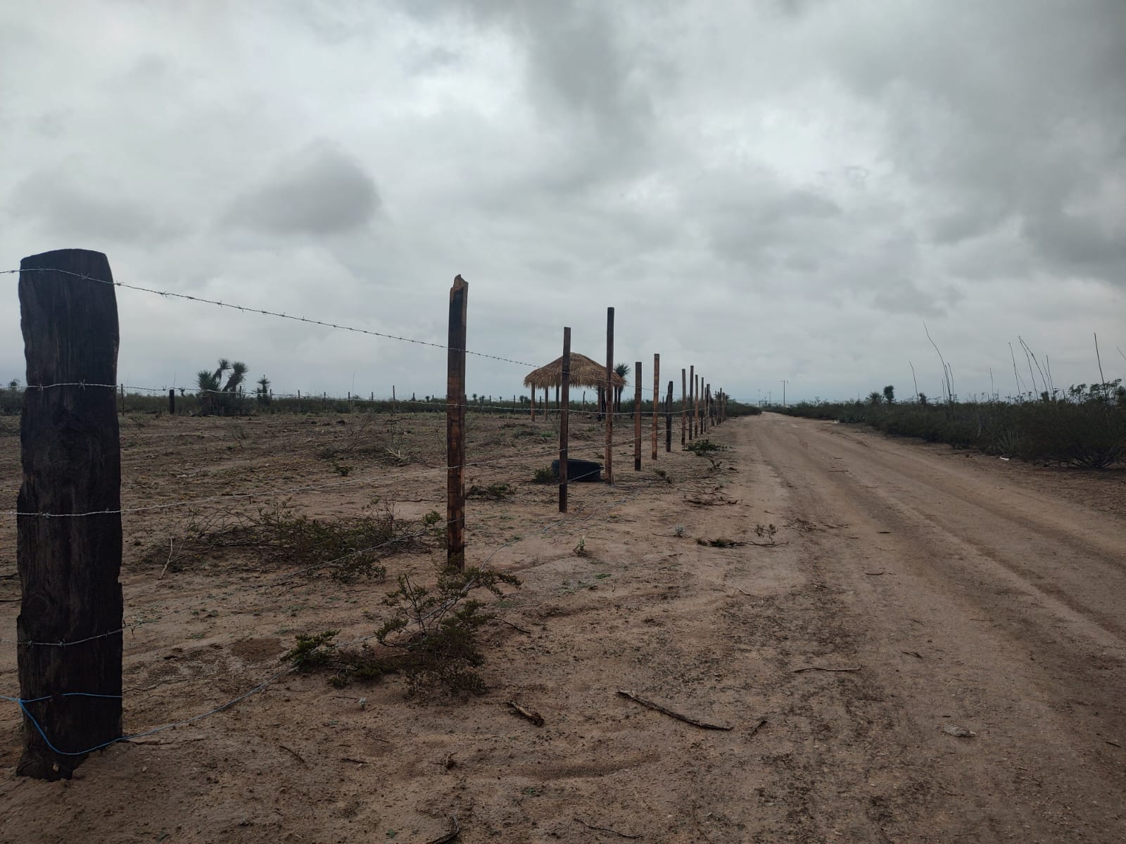 WhatsApp Image 2026-02-13 at 9.27.53 AM