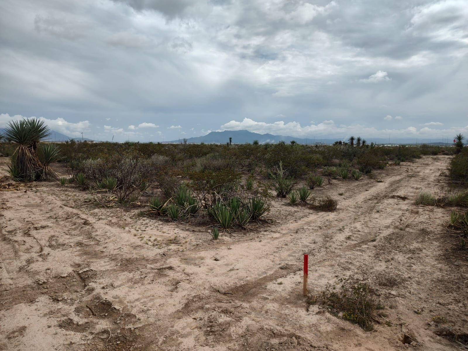 WhatsApp Image 2026-02-13 at 9.27.54 AM